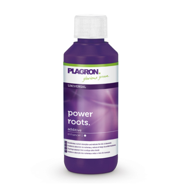 Plagron – Power Roots, 100 ml