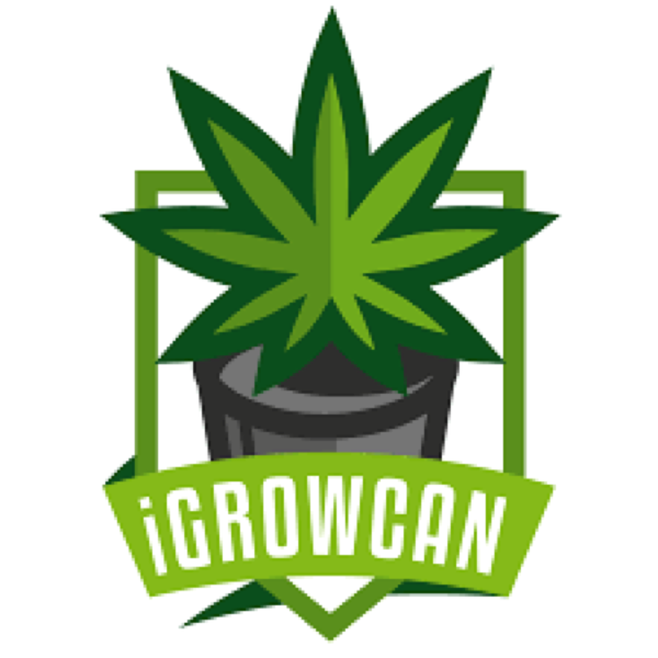 Stock Free - iGrowCan Groep - iGrowCan